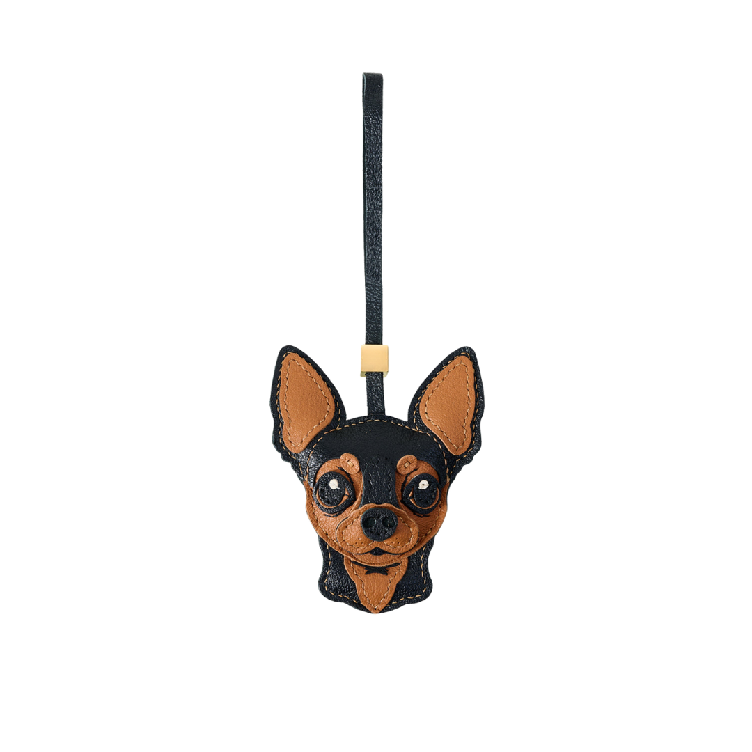 Chihuahua Charm
